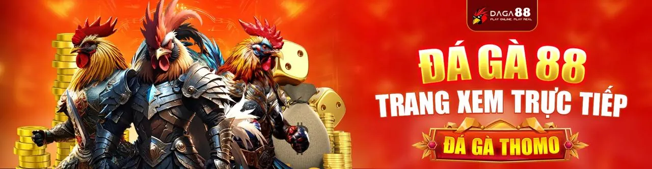 Tin tức King79 mới nhất