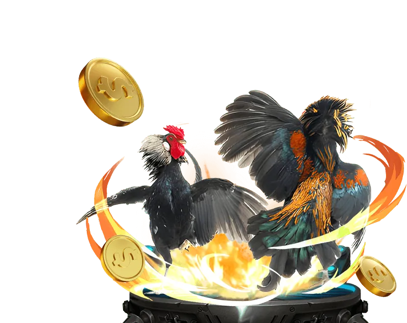 Cá cược bóng rổ King79